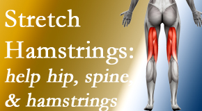 Cox Chiropractic Medicine Inc promotes back pain patients to stretch hamstrings for length, range of motion and flexibility to support the spine.