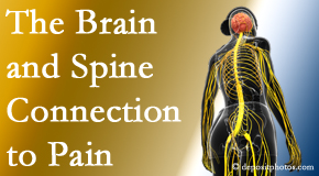 Cox Chiropractic Medicine Inc looks at the connection between the brain and spine in back pain patients to better help them find pain relief.