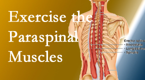 Cox Chiropractic Medicine Inc explains the importance of paraspinal muscles and their strength for Fort Wayne back pain relief.