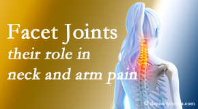 Cox Chiropractic Medicine Inc thoroughly examines, diagnoses, and treats cervical spine facet joints for neck pain relief when they are involved.