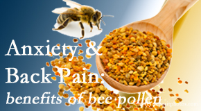Cox Chiropractic Medicine Inc shares info on the benefits of bee pollen on cognitive function that may be impaired when dealing with back pain.