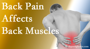 Cox Chiropractic Medicine Inc cares for not only back pain related to degenerative spine conditions but also the related degenerative back muscles.