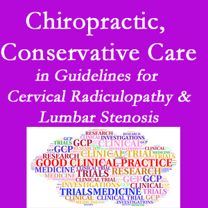 Fort Wayne chiropractic care for cervical radiculopathy and lumbar spinal stenosis is often ignored in medical studies and guidelines despite documented benefits. 