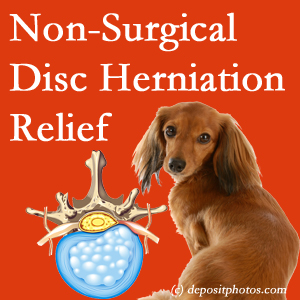 Often, the Fort Wayne disc herniation treatment at Cox Chiropractic Medicine Inc effectively relieves back pain for those with disc herniation. (Veterinarians treat dachshunds’ discs conservatively, too!) 