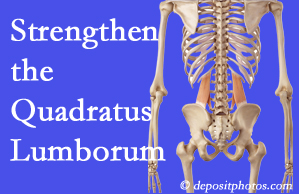 Fort Wayne chiropractic care offers exercise recommendations to strengthen spine muscles like the quadratus lumborum as the back heals and recovers.