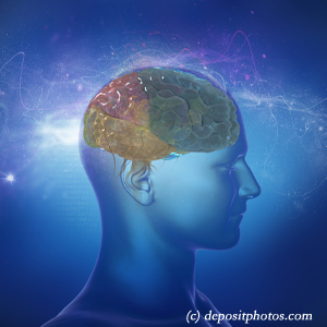 picture of a brain for cognition influenced by balance that Fort Wayne chiropractic can help