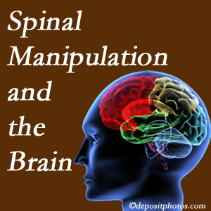 Cox Chiropractic Medicine Inc [presents research on the benefits of spinal manipulation for brain function. 