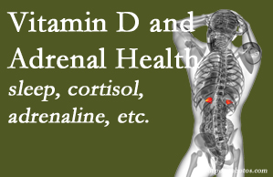 Cox Chiropractic Medicine Inc shares new research about the effect of vitamin D on adrenal health and function.