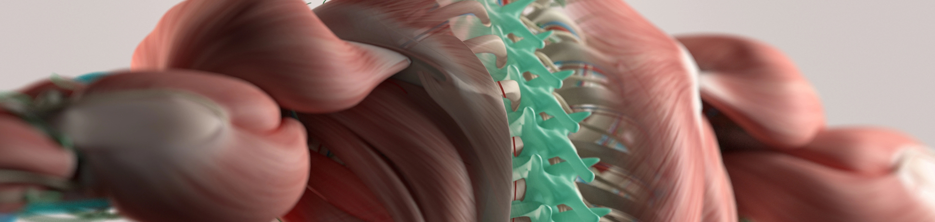Thoracic Spine Mobilization: A Key to Thoracic AND Cervical Comfort ...
